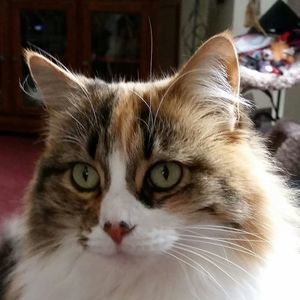 Meet your Posher, Monica